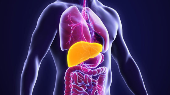 Rally | Improving Nonalcoholic Fatty Liver Disease (NAFLD) and Associated  Cardiovascular Risk